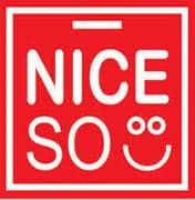 PT Niceso Sukses Indonesia