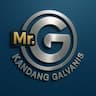 MISTER GALVANIS