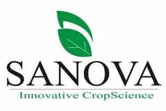 PT Sanova