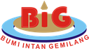 PT Bumi Intan Gemilang