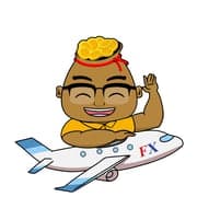 FX Travelindo