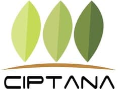 PT Cipta Wijaya Mandiri