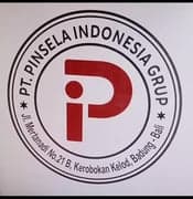 Pinsela Aesthetic