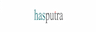PT Has Putra Indonesia